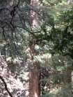 img075.jpeg.small.jpeg