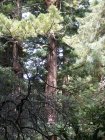 img076.jpeg.small.jpeg