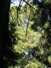 img078.jpeg.small.jpeg