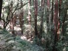 img079.jpeg.small.jpeg