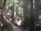 img080.jpeg.small.jpeg
