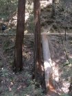 img082.jpeg.small.jpeg