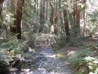 img083.jpeg.small.jpeg