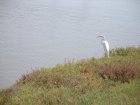 img029.jpeg.small.jpeg