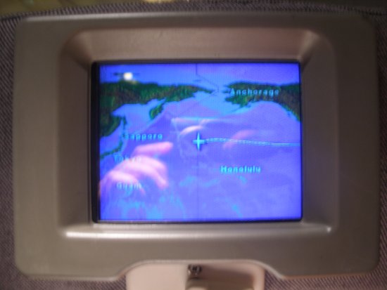 img012.jpeg.medium.jpeg