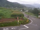 img015.jpeg.small.jpeg