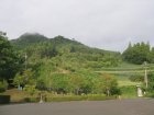 img017.jpeg.small.jpeg