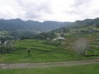 img023.jpeg.small.jpeg