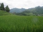 img026.jpeg.small.jpeg