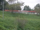img031.jpeg.small.jpeg