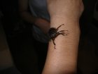 img040.jpeg.small.jpeg