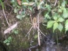 img002.jpeg.small.jpeg