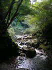 img028.jpeg.small.jpeg