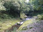 img030.jpeg.small.jpeg