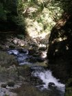 img031.jpeg.small.jpeg