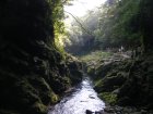 img038.jpeg.small.jpeg