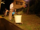 img003.jpeg.small.jpeg