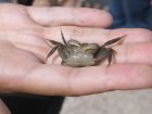 img030.jpeg.small.jpeg