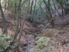 img004.jpeg.small.jpeg