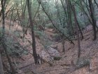 img005.jpeg.small.jpeg
