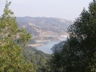 img006.jpeg.small.jpeg