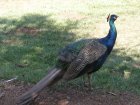 img024.jpeg.small.jpeg