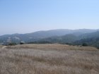 img016.jpeg.small.jpeg
