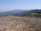 img043.jpeg.small.jpeg