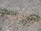 img048.jpeg.small.jpeg