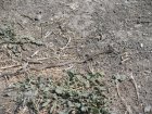 img049.jpeg.small.jpeg