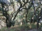 img063.jpeg.small.jpeg