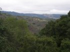 img002.jpeg.small.jpeg