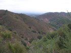 img004.jpeg.small.jpeg