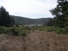 img012.jpeg.small.jpeg