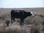 img034.jpeg.small.jpeg