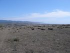 img035.jpeg.small.jpeg