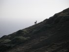 img081.jpeg.small.jpeg