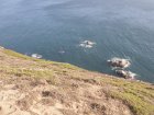img084.jpeg.small.jpeg