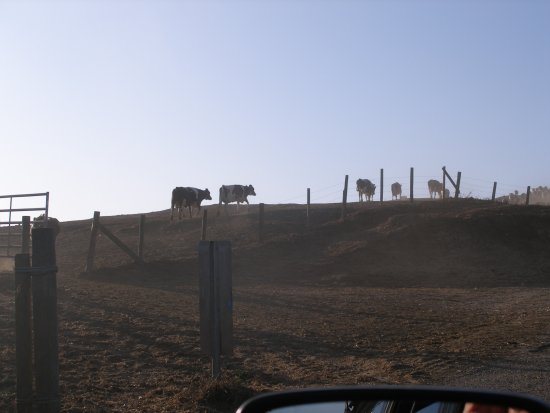 img104.jpeg.medium.jpeg