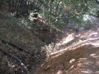 img003.jpeg.small.jpeg
