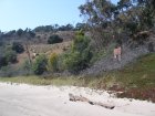 img040.jpeg.small.jpeg