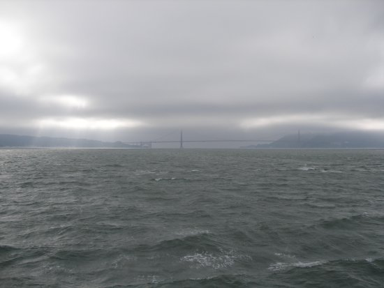 img113.jpeg.medium.jpeg