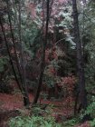 img007.jpeg.small.jpeg