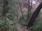 img009.jpeg.small.jpeg