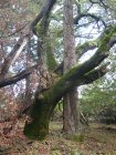 img010.jpeg.small.jpeg