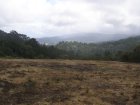 img013.jpeg.small.jpeg