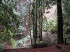 img020.jpeg.small.jpeg