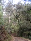 img022.jpeg.small.jpeg