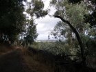 img024.jpeg.small.jpeg