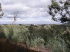 img025.jpeg.small.jpeg
